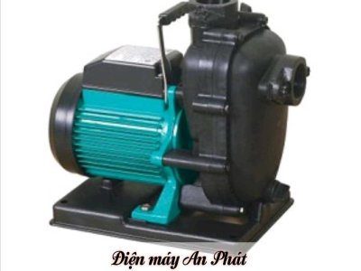 Máy bơm nước biển PUS 750E