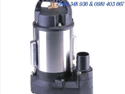 Máy bơm chìm nước biển PD-S 751EA